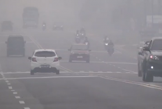 Kabut Asap Kepung Muaro Jambi, 4.065 Warga Terserang ISPA