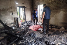 Lansia Tewas dalam Kebakaran Rumah di Muaro Jambi, Diduga Akibat Korsleting Listrik