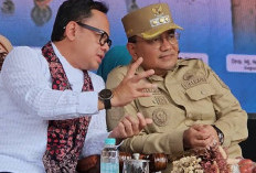 Di HUT Kota Jambi, Bima Arya Sebut Kota Jambi Layak Jadi Contoh Daerah Lain