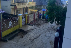 Banjir Bandang Terjang Tanjung Pauh Mudik, Warga Terdampak