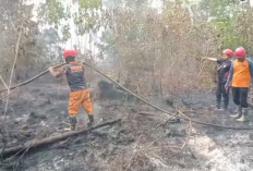 Siaga Karhutla Luasan Lahan Terbakar Di Tebo Capai 512 Hektare