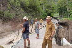 Longsor di Puncak KM 4, Wawako Azhar Hamzah Pantau Langsung Perbaikan Jalan