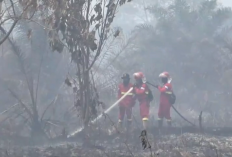 Karhutla Belum Reda, Al Haris Sebut Hotspot Jambi Capai 600 Titik
