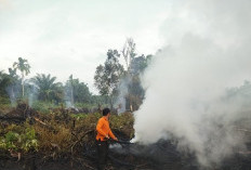 Musim Kemarau Mengancam, BPBD Tanjabtimur Minta Perusahaan Siapkan Cadangan Air Untuk Antisipasi Karhutla