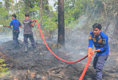 Kebakaran Lahan Nyaris Membakar Pemukiman Warga di Tebo
