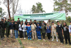 Pertamina EP Jambi  Sambut Ajakan Pemprov Hijaukan Jambi