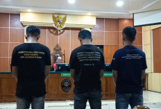 Tiga Terdakwa Rudapaksa Remaja 18 Tahun Divonis 8 Tahun, Kuasa Hukum Ajukan Banding