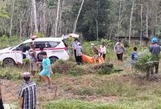 Warga Dusun Sirih Sekapur Bungo Heboh Temukan Mayat Laki-Laki Membusuk di Tengah Kebun