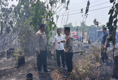 Kapolres Bungo Turun Langsung Ground Check Karhutla, 1 Hektare Lahan Terbakar