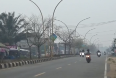 Karhutla Makin Parah, ISPU Muaro Jambi Tembus 401 dan Masuk Kategori Berbahaya
