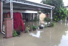 Data BPBD Kota Jambi: 70 RT dan Puluhan Kelurahan di Kota Jambi Terdampak Banjir