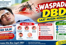 Dinkes Provinsi Jambi Imbau Masyarakat Waspadai Dbd Saat Musim Kemarau