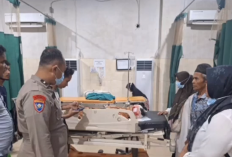 Tragis! Petani Karet Diserang Beruang Saat Menyadap, Alami Luka Parah Di Wajah