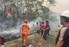 Karhutla Kembali Terjadi di Bungo, 1 Hektare Semak dan Kebun Karet Terbakar