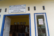  Di Bulan Oktober, 57 Kasus Sudah Ditangani Dp3a Sarolangun Kekerasan Terhadap Perempuan Dan Anak 