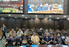 DPR dan Dewan Pers Sepakat Pasal 8 UU Pers Konstitusional, PWI Tekankan Penguatan Implementasi