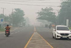 Kasus ISPA di Kota Jambi Tembus 10.151, Kabut Asap Karhutla Jadi Sorotan