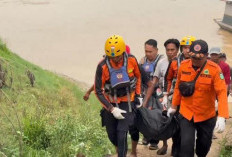 Tim Sar Gabungan Temukan Korban Tenggelam Di Sungai Batanghari Tebo Dalam Kondisi Meninggal Dunia