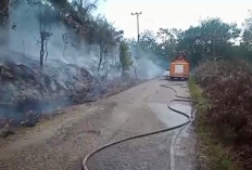 Diduga Akibat Puntung Rokok, Lahan Sawit Seluas Setengah Hektar Habis Terbakar