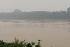 Aktivitas Manusia Picu Pencemaran Sungai Batanghari, Kualitas Air Jadi Sorotan