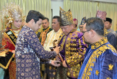 Wawako Diza Ajak Lembaga Adat, HPMJ dan Bujang Gadis Alam Barajo Bersinergi Bersama Pemerintah