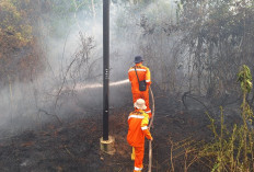 Karhutla di Batang Hari Meluas, 16,55 Hektare Lahan Terbakar dalam Sehari