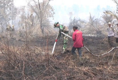 HOTSPOT MELONJAK, HAMPIR 200 HEKTARE LAHAN TERBAKAR DI TANJAB TIMUR