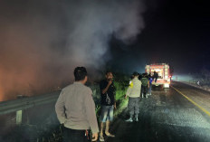 Puntung Rokok Diduga Picu Karhutla di Pinggir Jalinsum Km 30 Bungo