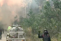 9 Titik Api Kepung Batang Hari, 34,5 Hektare Hutan dan Lahan Perkebunan Terbakar dalam Sehari