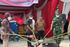 Kejari Muaro Jambi Musnahkan 11,5 Ton Solar Ilegal dan Sabu, 54 Persen Perkara Didominasi Narkotika