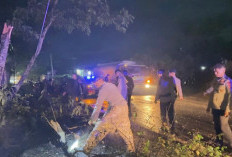 Brimob Polda Jambi Gerak Cepat Evakuasi Pohon Tumbang di Dua Lokasi, Arus Lalu Lintas Kembali Lancar