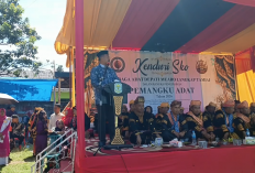 Kenduri Sko 5 Desa Tamiai, Warisan Leluhur yang Terus Dijaga