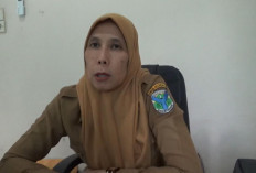 2026, Sebanyak 250 Orang PNS di Batang Hari Akan Pensiun