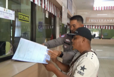 Pemutihan Pajak Kendaraan Dongkrak Penerimaan, Tembus Rp1,7 Miliar