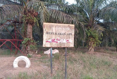 BPBD Tanjabtim Siapkan Langkah Strategis Hadapi Ancaman El Nino “Godzilla”