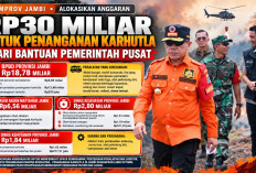 Pemprov Jambi Alokasikan Rp30 Miliar untuk Penanganan Karhutla, Ini Rincian Penggunaannya