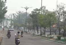 Kualitas Udara Memburuk, Pemkab Batang Hari Tiadakan Apel ASN