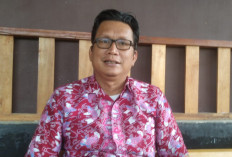 Distorsi Kewenangan dan Peran Tenaga Ahli dalam Jambi Mantap 2029