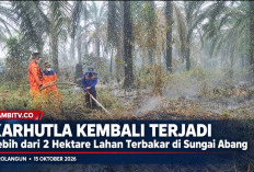 Asap Kembali Memutih, Kebakaran Lahan Kembali Terjadi di Sungai Abang Sarolangun