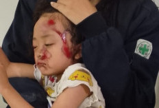 Anak Jadi Korban Galian Jargas Tak Ditutup, Pemkot Jambi Panggil Kontraktor