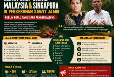 Jejak Grup Bisnis Malaysia dan Singapura di Perkebunan Sawit Jambi, Publik Perlu Tahu Siapa Pengendalinya