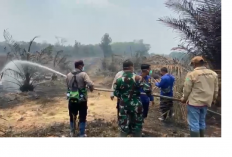 Kebun Sawit Warga di Tebo Terbakar, Api Nyaris Sambar Permukiman