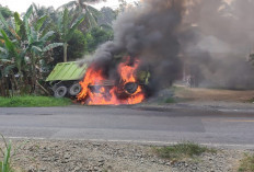 Dump Truck Hino Terbakar Hebat di Jalinsum Bungo, Kerugian Rp800 Juta