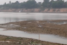 Dampak Musim Kemarau  Debit Sungai Batanghari Menurun, Muaro Jambi Hadapi Krisis Air Bersih 