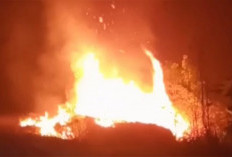 Satgas Karhutla Tebo Padamkan Kembali Lahan Bekas Terbakar di Tengah Ancaman Kemarau