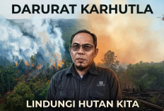 Enam Hektare Kawasan Tahura di Batang Hari Terbakar, Helikopter Water Bombing Dikerahkan