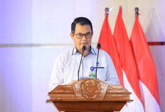 MagangHub Batch 2 Angkatan II Masuki Tahap Seleksi, Hasil Diumumkan 18 September