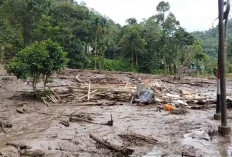 Longsor Terjang Jalan KM 18–20 Puncak, Akses Perbatasan Jambi–Sumbar Terdampak