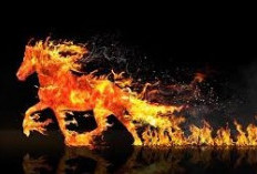 2026 Tahun Kuda Api, Arah Ekonomi dan Politik Dipenuhi Dinamika 