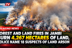 Forest and Land Fires in Jambi Burn 4,267 Hectares of Land; Police Name 18 Suspects in Arson Cases